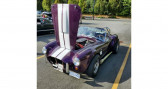 Ac Cobra    LYON 69