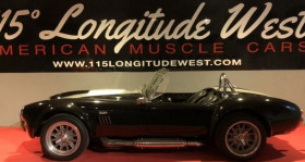 Ac Cobra , garage 115 LONGITUDE WEST  CHATUZANGE LE GOUBET