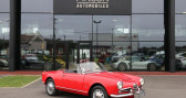 Alfa romeo Giulia occasion année 1964 boite Manuelle Annonce Alfa romeo Giulia occasion Essence Gulia Spyder 1600 à Cercottes