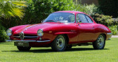 Alfa romeo Giulia occasion boite Manuelle Annonce Alfa romeo Giulia occasion Essence SS 1600 SPRINT SPECIALE 1964 à NICE