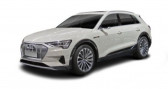 Annonce Audi E-tron occasion Electrique 55 quattro 408 ch Leasing 526 Euros-Mois Avus  Lyon
