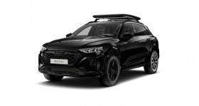 Audi Q8 , garage JEAN LAIN HERITAGE  GRESY SUR AIX