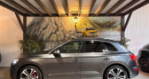 Annonce Audi SQ5 occasion Diesel 3.0 TDI 347 CV QUATTRO TIPTRONIC � Charentilly