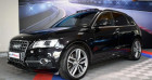 Audi SQ5 occasion année 2015 boite Automatique Annonce Audi SQ5 occasion Electrique 3.0 V6 Bi TDI 313 Quattro GPS TO Attelage Hayon Caméra Cuir à Sarraltroff
