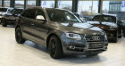 Audi SQ5 occasion Gris année 2015 boite Automatique Annonce Audi SQ5 occasion Diesel 3.0 V6 BITDI 313 QUATTRO TIPTRONIC 8 * Pano * à Mudaison