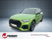 Annonce Audi SQ5 occasion Diesel 3.0 V6 TDI 341 BVA Quattro � L'Union