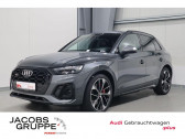 Annonce Audi SQ5 occasion Diesel 3.0 V6 TDI 341 BVA Quattro  L'Union