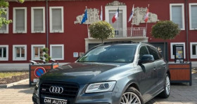 Audi SQ5 occasion 2016 mise en vente à Wittelsheim par le garage DM AUTOS - photo n°1