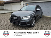 Annonce Audi SQ5 occasion Diesel V6 3.0 BiTDI 326  L'Union