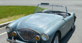 Austin healey 100 occasion année 1955 Annonce Austin healey 100 occasion Essence à LYON