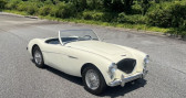 Annonce Austin healey 100 occasion Essence   LYON