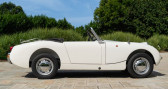 Annonce Austin healey 100 occasion Essence   Reggio Emilia