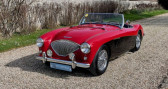Austin healey 100 occasion année 1954 boite Manuelle Annonce Austin healey 100 occasion Essence 100/4 bn1 1954 à MARCQ