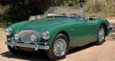 Annonce Austin healey 100 occasion Essence 100-4  LYON