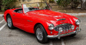 Annonce Austin healey 100 occasion Essence 100-6  LYON
