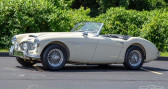 Austin healey 100 occasion année 1959 Annonce Austin healey 100 occasion Essence 100-6 à LYON
