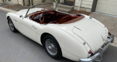 Annonce Austin healey 100 occasion Essence 100-6  LYON