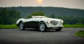 Annonce Austin healey 100 occasion Essence 100/M  LYON