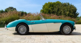 Austin healey 100 1957 100/6 BN4   Reggio Emilia 42
