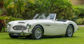 Annonce Austin healey 100 occasion Essence 6 BN4  NICE