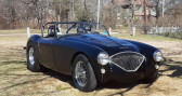 Annonce Austin healey 100 occasion Essence bn2  LYON