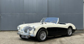 Annonce Austin healey 100 occasion Essence BN2 à OLLAINVILLE