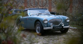 Austin healey 100 occasion année 1956 boite Manuelle Annonce Austin healey 100 occasion Essence kit le mans 1956 à Fleury-les-Aubrais