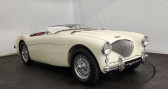 Annonce Austin healey 100 occasion Essence kit Mans  CREANCES
