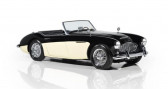 Annonce Austin healey 3000 occasion Essence  � Le Havre