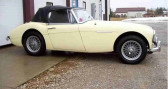 Annonce Austin healey 3000 occasion Essence  � Le Havre