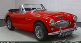 Annonce Austin healey 3000 occasion Essence  � Le Havre