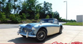 Austin healey 3000   � Le Havre 76