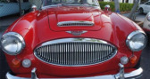 Annonce Austin healey 3000 occasion Essence  � Le Havre