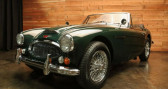 Austin healey 3000 occasion année 1965 Annonce Austin healey 3000 occasion Essence à LYON