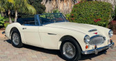 Annonce Austin healey 3000 occasion Essence   LYON