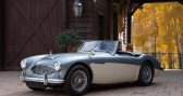 Austin healey 3000   � LYON 69