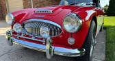 Annonce Austin healey 3000 occasion Essence  � LYON