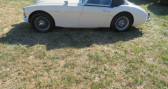 Annonce Austin healey 3000 occasion Essence   LYON