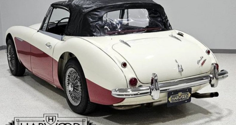 Austin healey 3000  1965 - photo n°7 Austin healey 3000   occasion à LYON - photo n°7