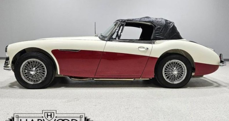 Austin healey 3000  1965 - photo n°5 Austin healey 3000   occasion à LYON - photo n°5