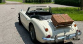 Annonce Austin healey 3000 occasion Essence   LYON