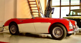 Annonce Austin healey 3000 occasion Essence Austin-Healey Mk2 1962 - configuration exclusive cuir rouge  � orleans