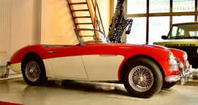Austin healey 3000 occasion 1962 mise en vente &agrave; orleans par le garage DUNOIS AUTOMOBILES - photo n&deg;1