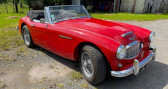 Austin healey 3000 occasion année 1962 boite Manuelle Annonce Austin healey 3000 occasion Essence BJ7 6 CYLINDRES à BOIS GRENIER