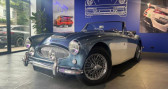 Austin healey 3000 occasion année 1964 boite Manuelle Annonce Austin healey 3000 occasion Essence BJ7 BJ7/ ROUES RAYONS CHROMEES/ OVERDRIVE/ VOLANT BOIS/ PORT à Saint-Maur-des-Fossés