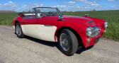 Annonce Austin healey 3000 occasion Essence BJ8 6 cylindres à Lille
