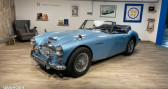Austin healey 3000 occasion année 1965 boite Manuelle Annonce Austin healey 3000 occasion Essence BJ8 MK III à Neuilly-sur-Seine