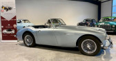 Austin healey 3000 occasion année 1960 boite Manuelle Annonce Austin healey 3000 occasion Essence BT07 à Le Grand-Bornand