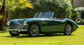 Annonce Austin healey 3000 occasion Essence BT7  NICE