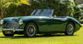 Austin healey 3000 occasion année 1959 boite Manuelle Annonce Austin healey 3000 occasion Essence BT7 à NICE